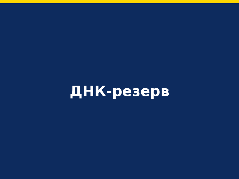 Як бути ресурсом для побратима: поради від психологів центру